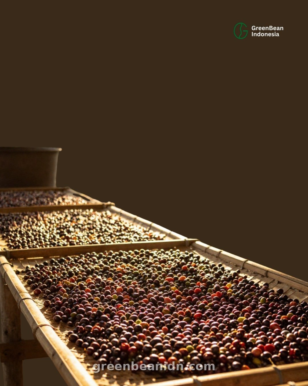 Green coffee beans being sorted in a woven basket by hand in Indonesia